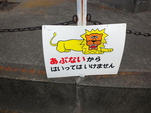 lion.jpg